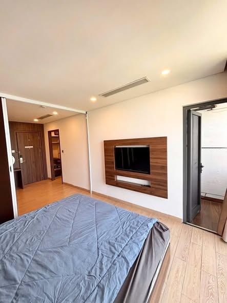 Le Tan Toan, Son Tra