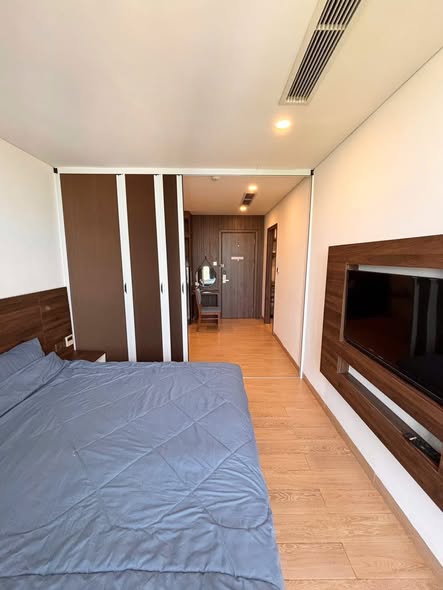 Le Tan Toan, Son Tra