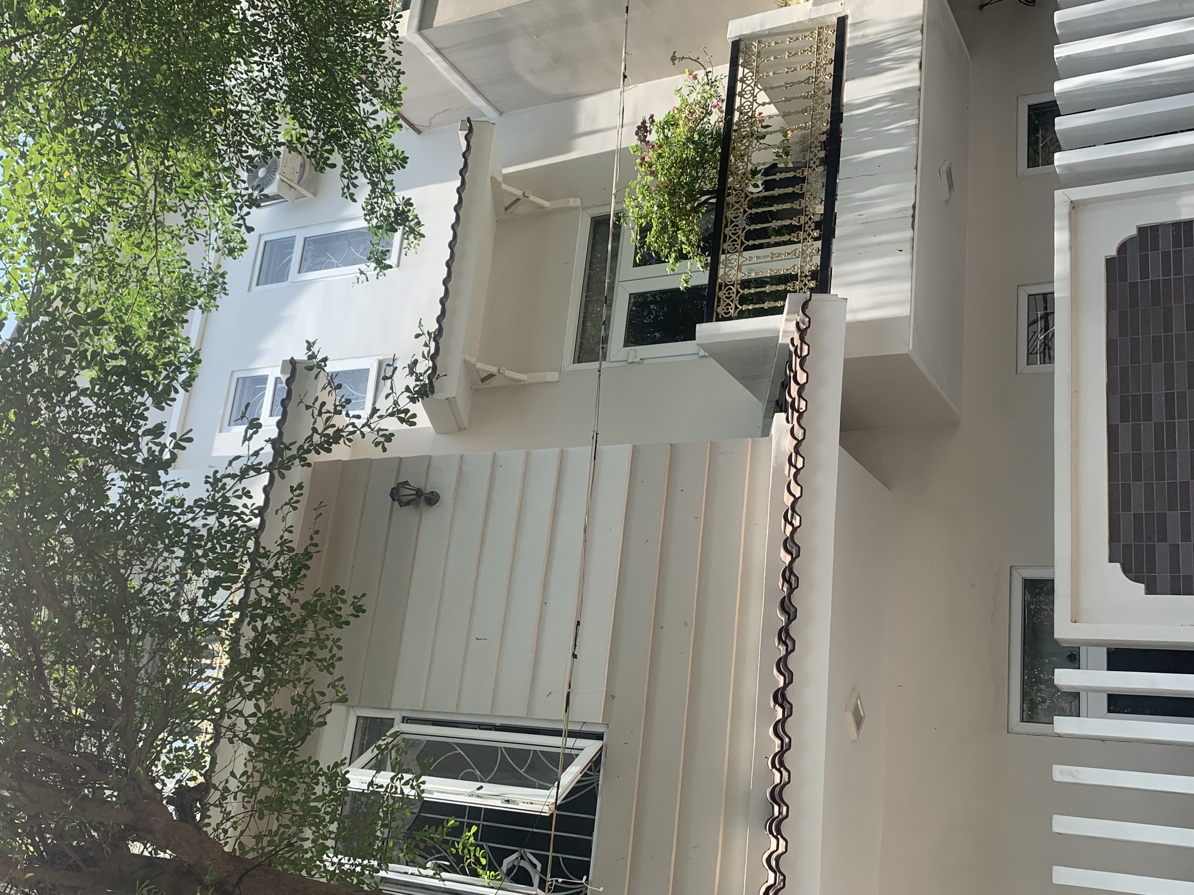 Duong Dinh Nghe street , Son Tra district